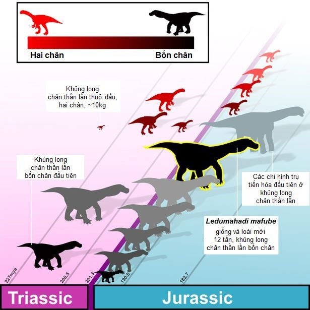 Phát hiện loài khủng long khổng lồ mới gấp đôi kích thước một con voi
