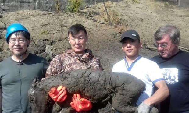 Phát hiện ngựa hóa thạch 3 tháng tuổi ở cổng địa ngục Siberia