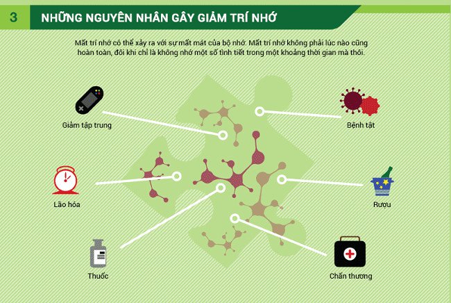 Quy trình ghi nhớ của não bộ và các phương pháp cải thiện trí nhớ!