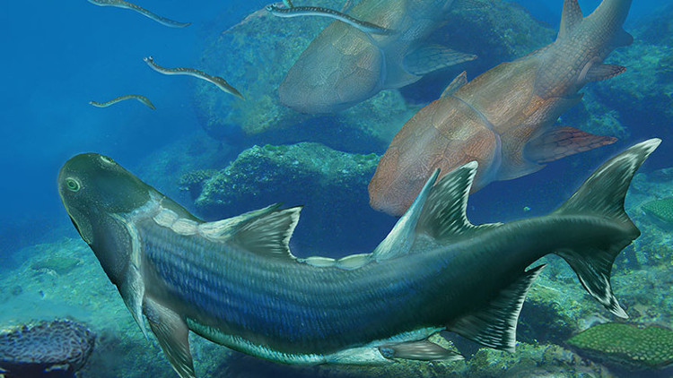 Hóa thạch cá bọc thép 420 triệu tuổi ở Trung Quốc