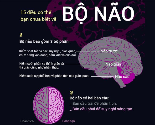 15 sự thật khó tin về não bộ