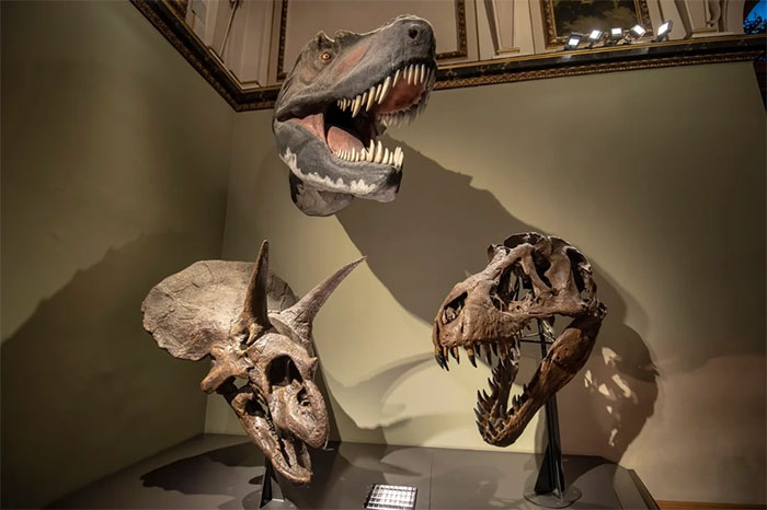 3 lý do khủng long chưa bao giờ thực sự thống trị Trái đất