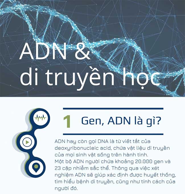 ADN và gene trong di truyền học
