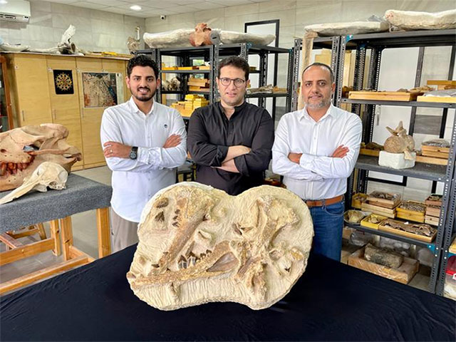 Ai Cập phát hiện hóa thạch loài cá voi tuyệt chủng cách đây 41 triệu năm