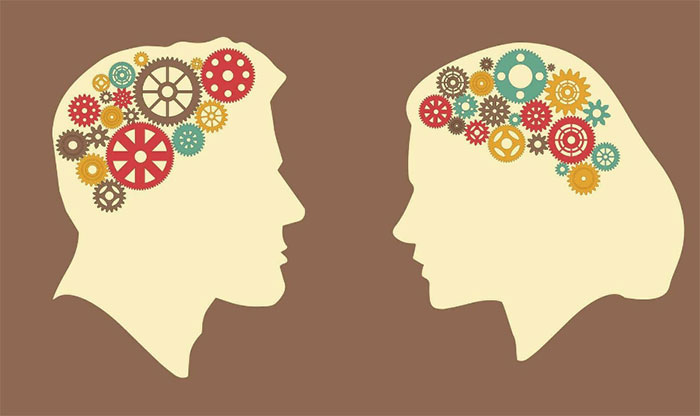 AI có thể phân biệt sự khác biệt giữa bộ não nam và nữ