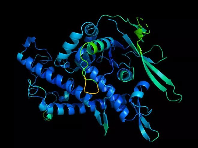 AI của DeepMind giải thành công phần lớn cấu trúc protein, giúp ta hiểu rõ cả bệnh tật lẫn thuốc thang
