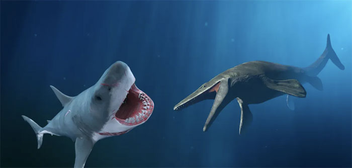 Ai là kẻ thắng trận chiến giữa cá mập Megalodon và thằn lằn Mosasaurus?