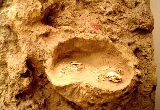Ai là người đã làm ra cái vặn nút chai của quỷ cao hơn hai mét này từ hàng triệu năm trước?