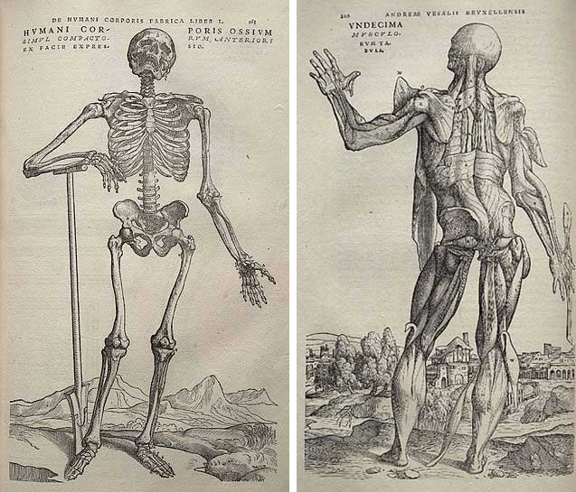 Andreas Vesalius: Cha đẻ ngành giải phẫu người hiện đại