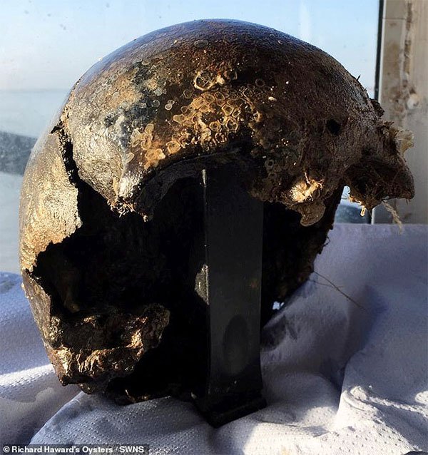 Anh: Đi bắt hàu ngoài biển, phát hiện sọ người 3.000 năm tuổi