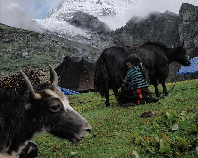 Ảnh hiếm ghi lại cuộc sống bình dị của người dân Bhutan, xứng danh là vương quốc hạnh phúc nhất thế giới