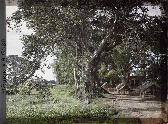 Ảnh màu cực quý về tỉnh Hà Đông năm 1915