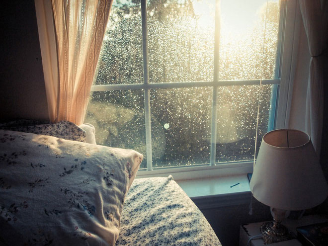 Ánh sáng Mặt trời có thể làm giảm lượng vi khuẩn trong nhà bạn