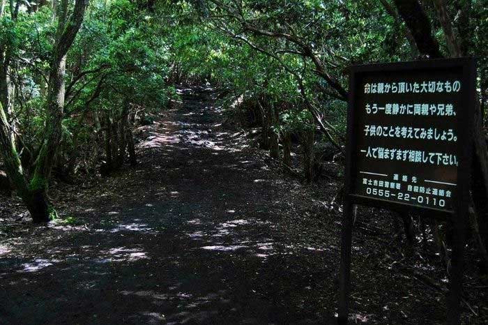 Aokigahara: Khu rừng bí ẩn ở Nhật Bản