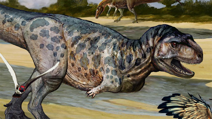 Argentina phát hiện hóa thạch loài khủng long ăn thịt 90 triệu năm trước