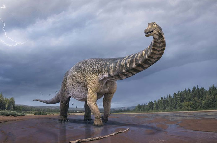 Australia xác định một loài khủng long mới có kích thước lớn nhất