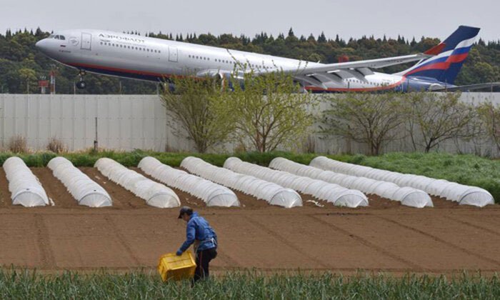 Bác nông dân từ chối 40 tỷ tiền bồi thường để trồng rau giữa sân bay