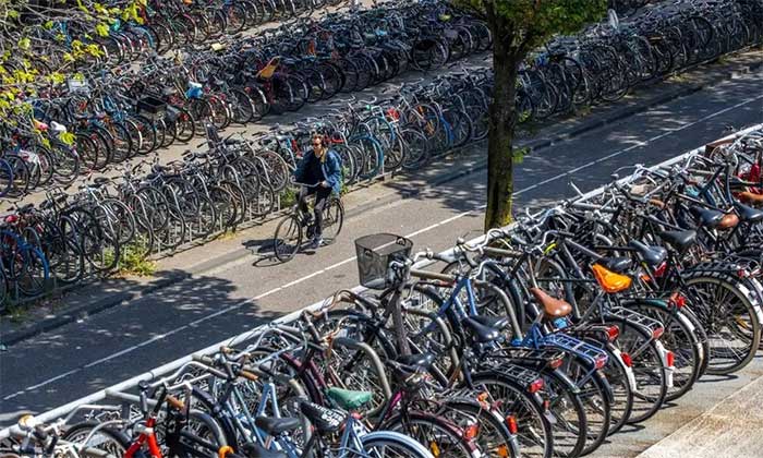 Bãi gửi xe đạp dưới nước ở Hà Lan khiến cả thế giới chú ý