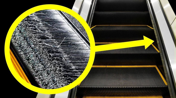 Bạn có biết: Phần lông bàn chải ở cạnh bậc thang cuốn có chức năng gì?