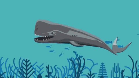 Bạn có thể sống trong bụng cá voi?