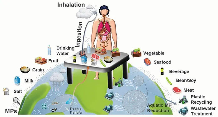 Bản đồ mức độ ăn phải vi nhựa của con người