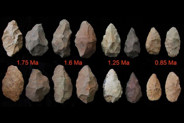 Bằng chứng khảo cổ 1,6 triệu năm tuổi thay đổi cái nhìn của con người về lịch sử ngôn ngữ