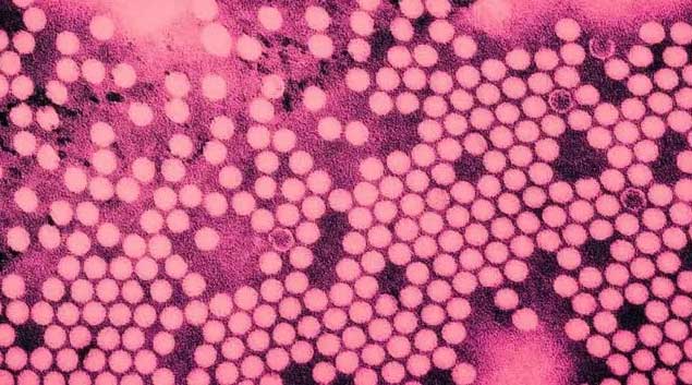 Bang New York tuyên bố tình trạng thảm họa khẩn cấp vì bệnh bại liệt