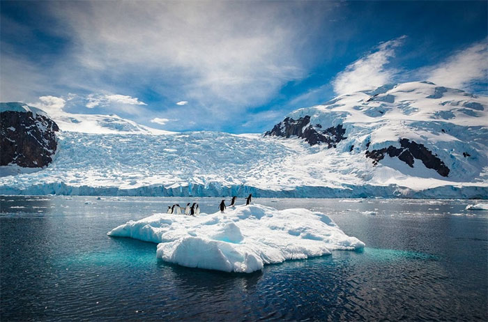 Băng ở Nam Cực chạm mức thấp nhất lịch sử
