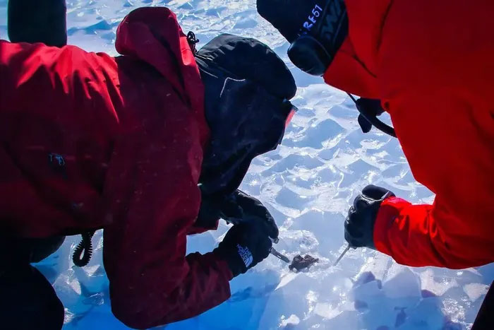 Băng tan khiến báu vật ngoài hành tinh lẩn trốn ở Nam Cực