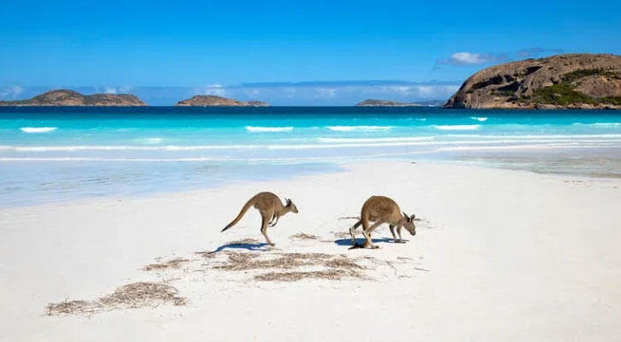 Báo động về tình trạng nước biển xâm lấn các cồn cát ở Australia