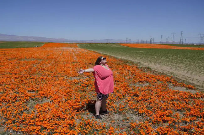 Bão mạnh càn quét và tạo nên cảnh tượng siêu hoa ngoạn mục ở Mỹ