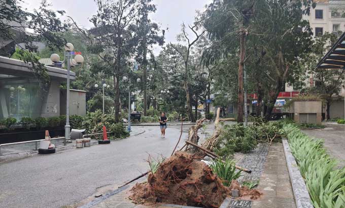 Bão Yagi đổ bộ Quảng Ninh - Hải Phòng, đánh đắm du thuyền, thổi bay mặt kính cao ốc, mất điện trên diện rộng