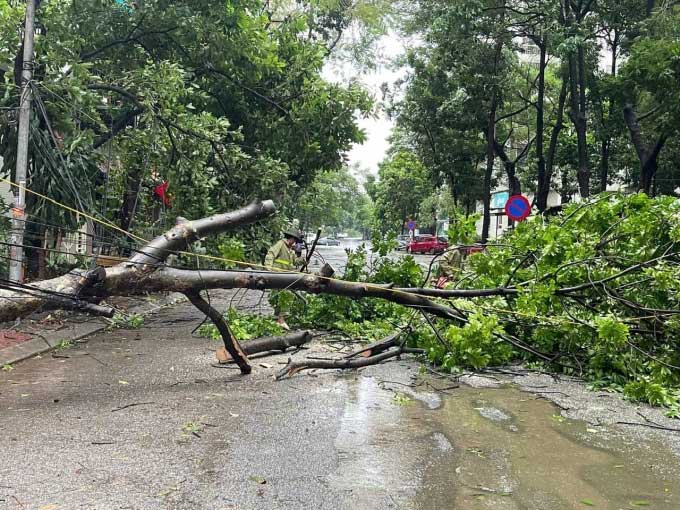 Bão Yagi quét qua Hà Nội làm ba người chết, 2.800 cây đổ