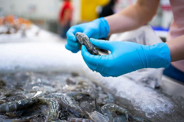 Bất ngờ loại hải sản có thể lấy vỏ làm vũ khí bảo vệ môi trường - Việt Nam đang là vua xuất khẩu