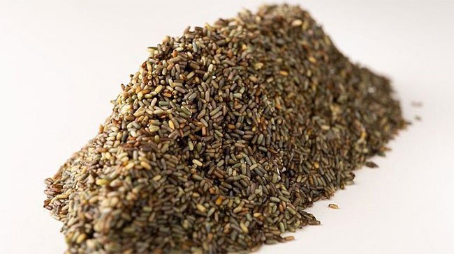 Bất ngờ với nguồn lương thực mới trong tương lai: Trồng cỏ biển lấy... gạo