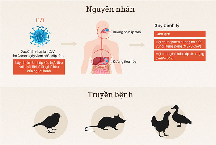 Bệnh viêm phổi lạ Trung Quốc nguy hiểm thế nào?