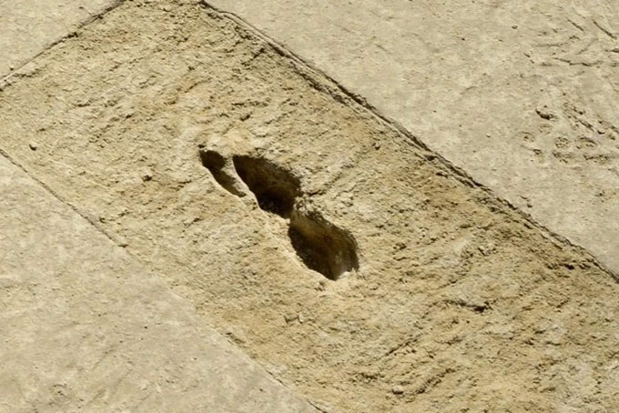 Bí ẩn dấu chân ma quái ở sa mạc: Chỉ hiện lên khi trời mưa, biến mất khi gặp ánh nắng Mặt trời