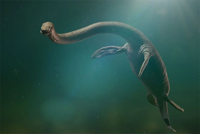 Bí ẩn hơn một thế kỷ về loài thằn lằn đầu rắn có thể được giải đáp?