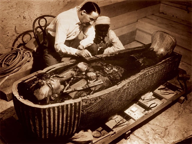 Bí ẩn loại nấm chết người đằng sau lời nguyền Tutankhamun