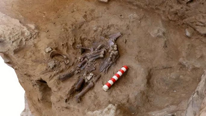 Bí ẩn mộ cổ hoa 70.000 năm chôn cất một loài người khác