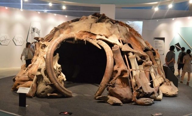 Bí ẩn ngôi nhà 25.000 năm tuổi được dựng từ xương voi ma mút