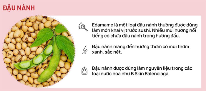 Bí ẩn tạo nên những loại nước hoa kỳ lạ nhất mọi thời đại