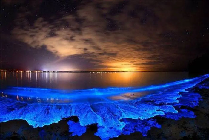 Bí ẩn về hiện tượng biển sao của Maldives