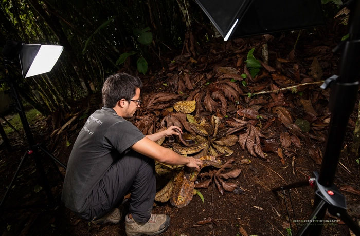 Bí ẩn về loài giun Ecuador, dù là giun đất nhưng lại to bằng con rắn