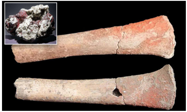 Bí ẩn về những cái chết cách đây 5.000 năm liên quan đến nhiễm độc thủy ngân