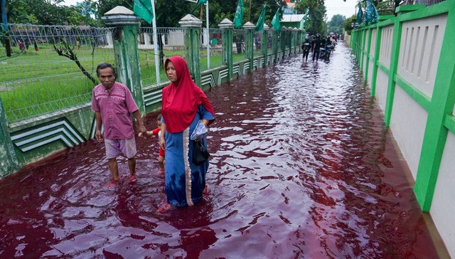 Bí ẩn về những cơn mưa máu xuất hiện liên tục tại Ấn Độ