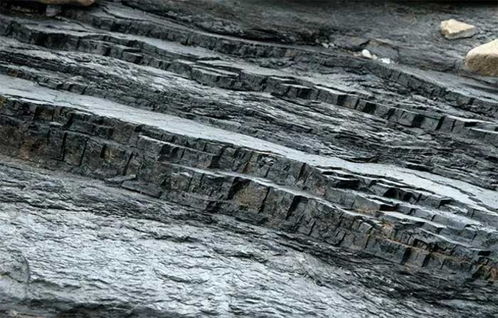 Bí ẩn về sự hình thành của những vỉa than dày hàng chục mét!
