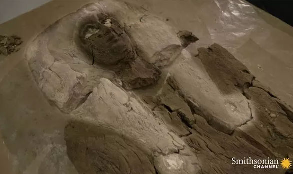 Bí ẩn xác ướp của người phụ nữ bị nhầm là pharaoh Ai Cập