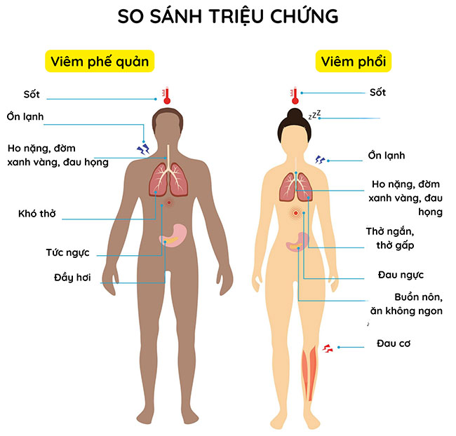 Bị viêm phế quản có sốt không?