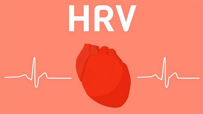 Biến thiên tần số tim (HRV) và ý nghĩa của thông số này là gì?